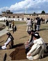 Taliban truce seems in flux in Swat: NYT