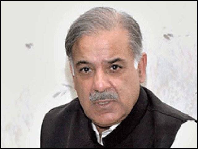 Punjab govt committed to rooting out terrorism: Shahbaz