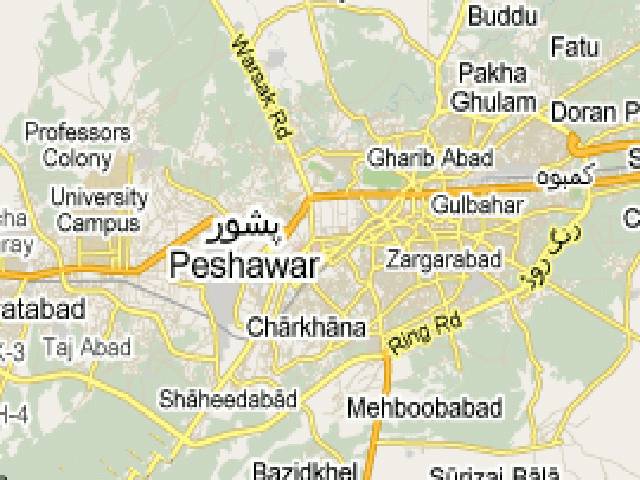 Two die in roof collapse in Peshawar