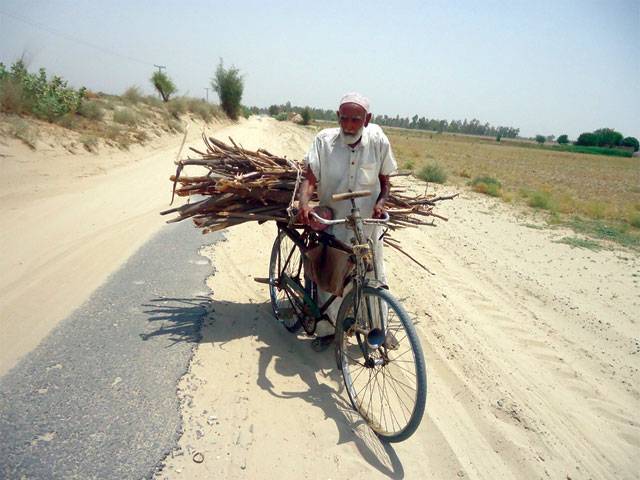KALLUR KOT: An elderly man, carrying firewood on a bicycle, passing through Kallur Kot-Hutt Road in scorching heat.–Staff photo