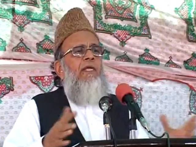 Mosque and throne have to play role for revolution: Munawar Hassan