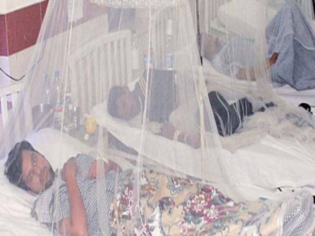Seven more dengue patients confirmed in Mayo Hospital Lahore 