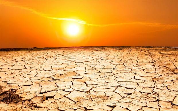 Thar-like drought feared in Rawalpindi