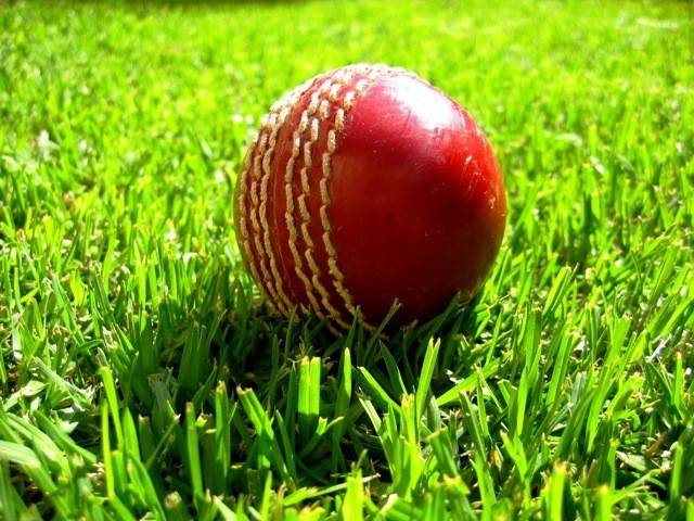 Pakistan Cricket Board to have a new constitution