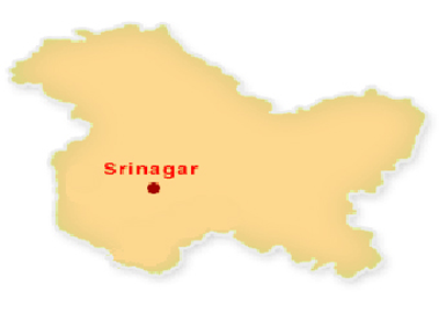 Srinagar: Fighter plane crashes, pilot killed