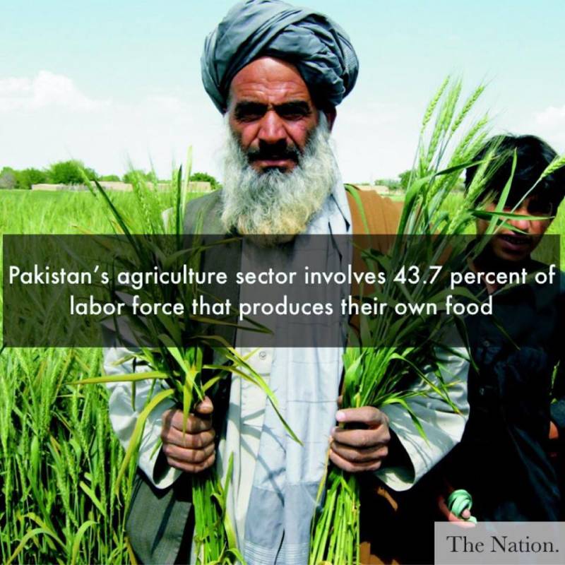 Pakistan’s agriculture sector shows some progress