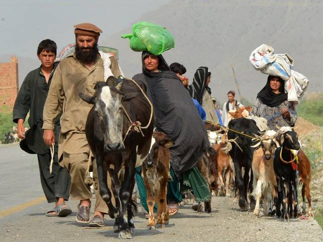 16000 IDPs provided mobile SIMS