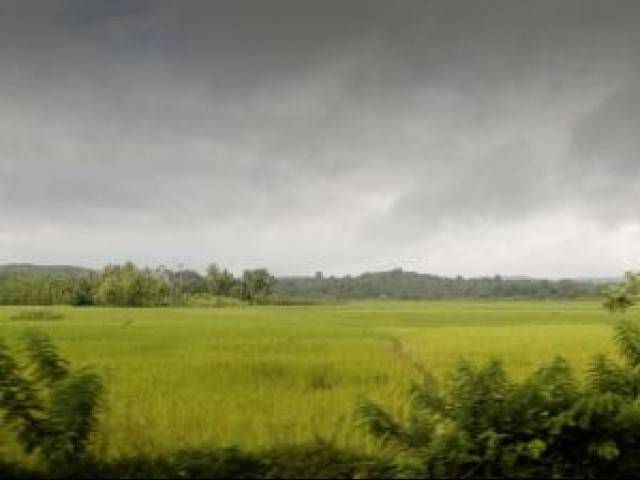 More rains expected in Sindh and Punjab 