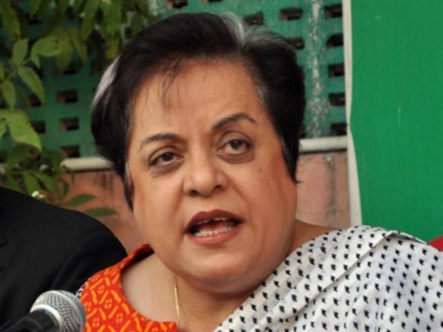 Time for talks with the fake government is over: Shireen Mazari