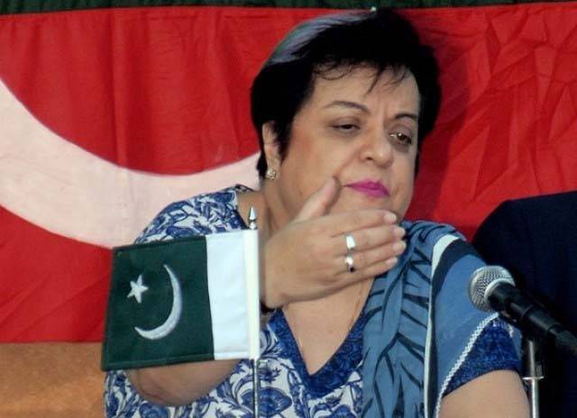 PTI never sent any proposal to government regarding 10 constituencies or any other point of compromise: Mazari