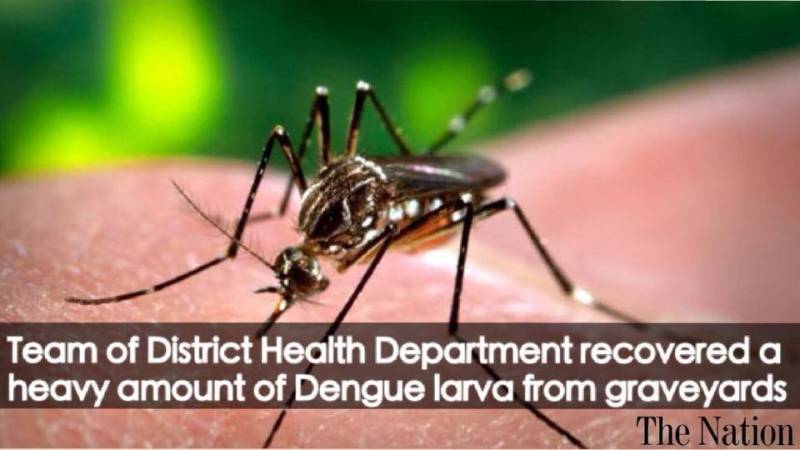 Dengue larva discovered in graveyards