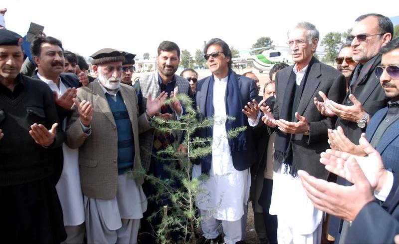 SC should not spare timber mafia: Imran Khan