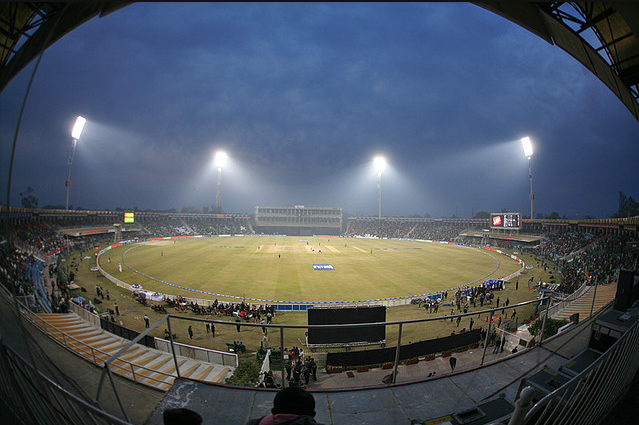 Cricket, welcome home