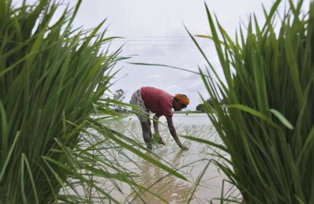 India spending $8 billion to boost irrigation