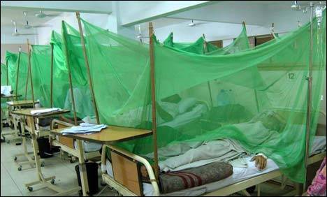 Dengue cases rise to 37 in Karachi