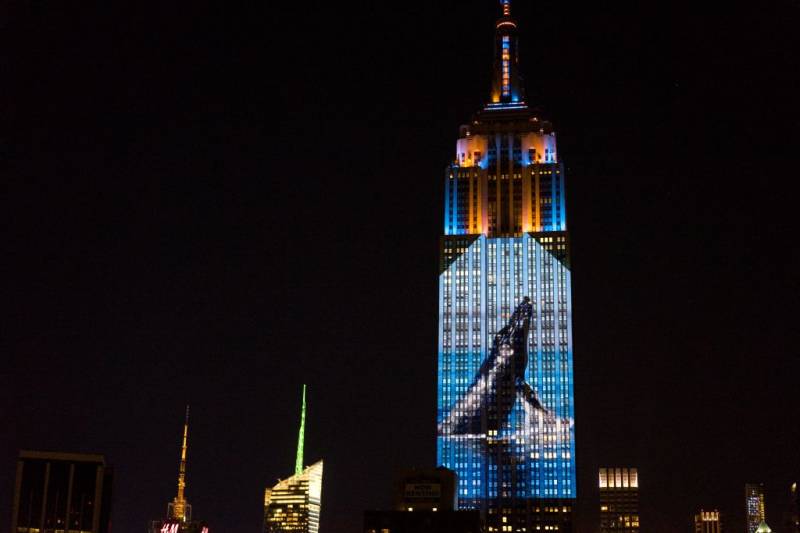 Photos of endangered animals shine on Empire State Building 