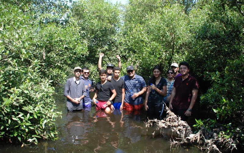 WWF and Dignosco educates students about mangroves near Karachi