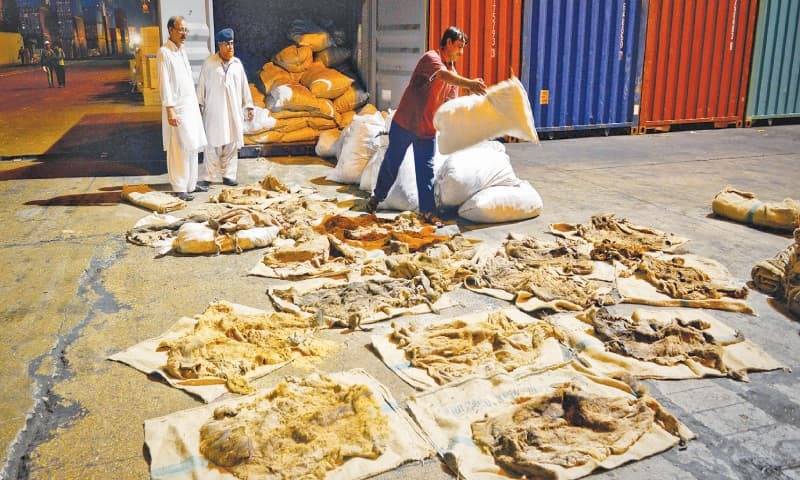 Pakistan exported 200,000 donkey hides in last three years: Khurram Dastgir 