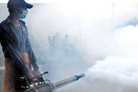 Dengue cell employees not paid for six months