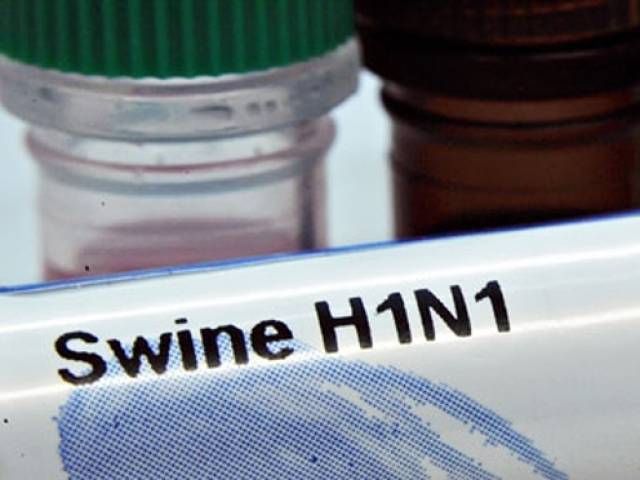 One more swine flu patient surfaces, tally mounts to 22