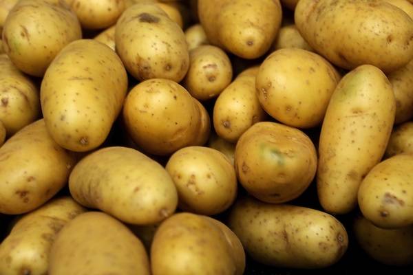 Man plans to live only on potatoes for a year