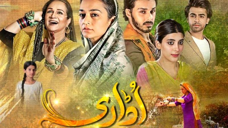 PEMRA vs Udaari: Of course the one realistic Pakistani drama in years had to be served a notice...