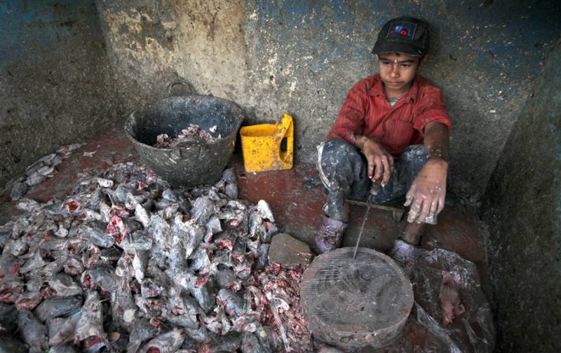 Punjab govt bans child labor, restricts working of youth at hazardous places