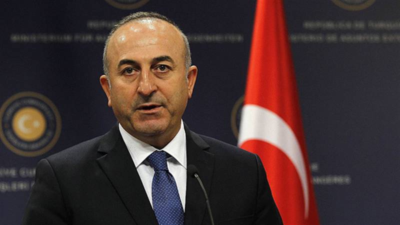 Turkish foreign minister thanks Pakistan for supporting democracy in Turkey 