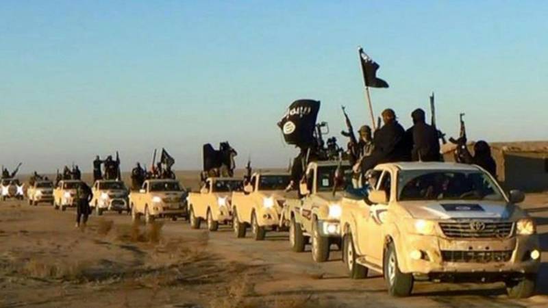 ISIS fighter reveals group's plan to spread even after defeat in Iraq and Syria