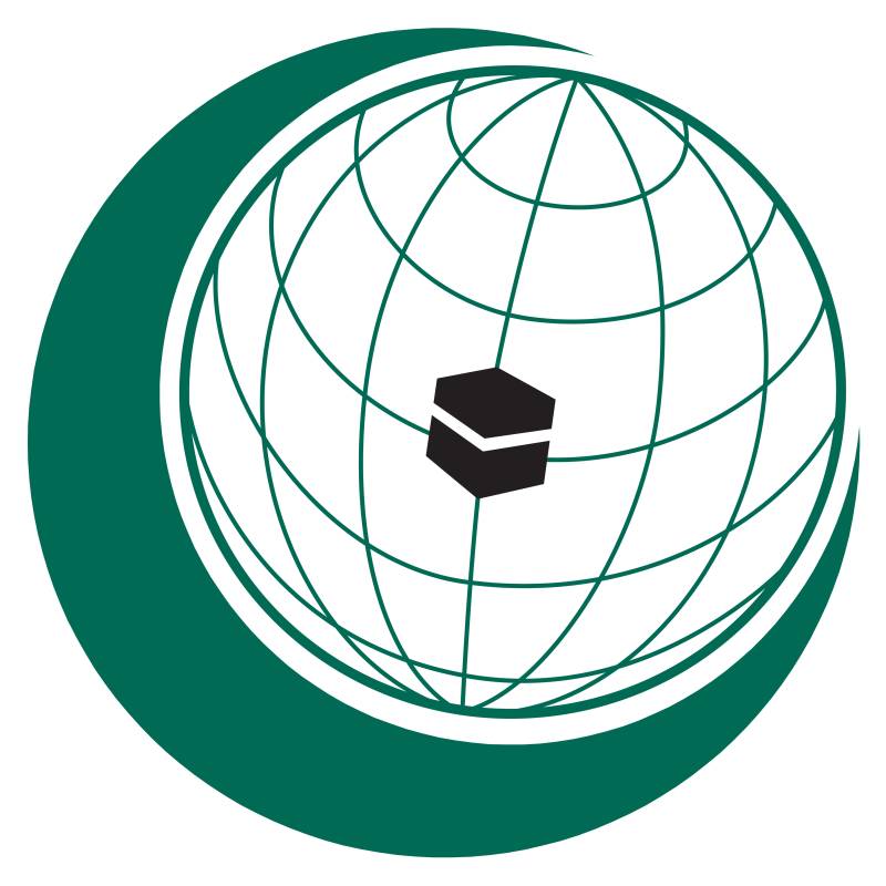 OIC Contact Group on Jammu and Kashmir reaffirms its solidarity with the Kashmiri people