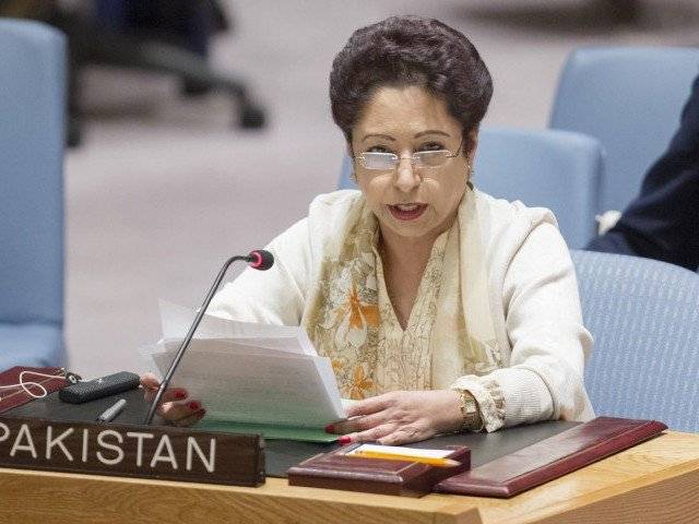 Pakistan has vital stake in solution of multiple conflicts in Middle East: Maleeha Lodhi 