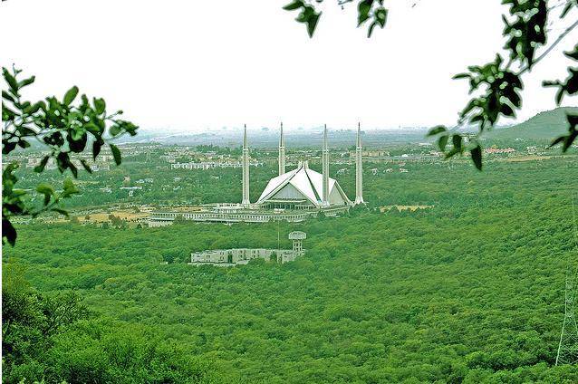 Rs 3.7 billion approved under PM’s vision for Green Pakistan