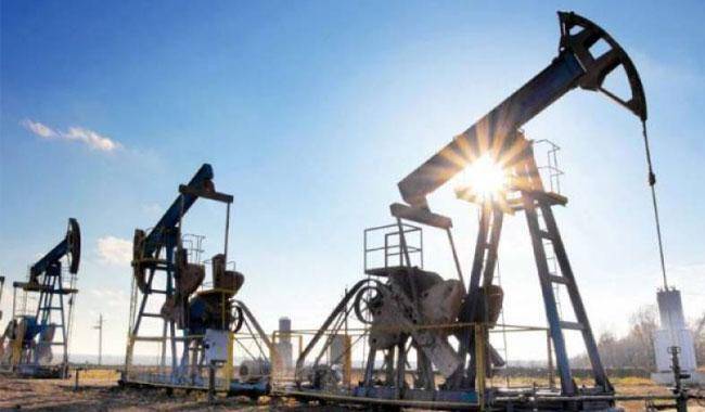 Govt awards 46 oil, gas exploration blocks