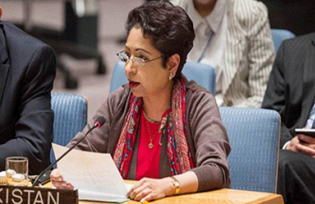 UN efforts insufficient to ease Israel-Palestinian tension: Maleeha Lodhi 