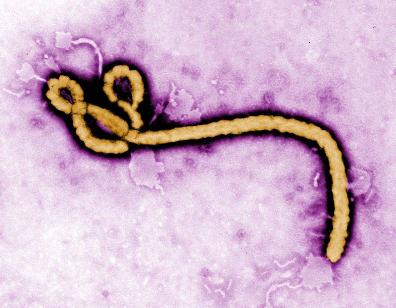 Ebola's long-term effects revealed
