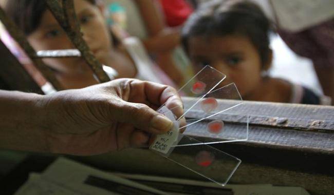 Malaria superbugs threaten global malaria control, scientists say