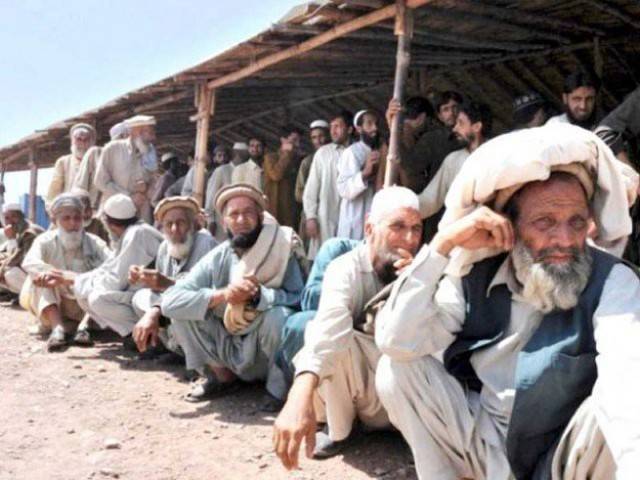 '80pc TDPs returned to native areas,' NA told