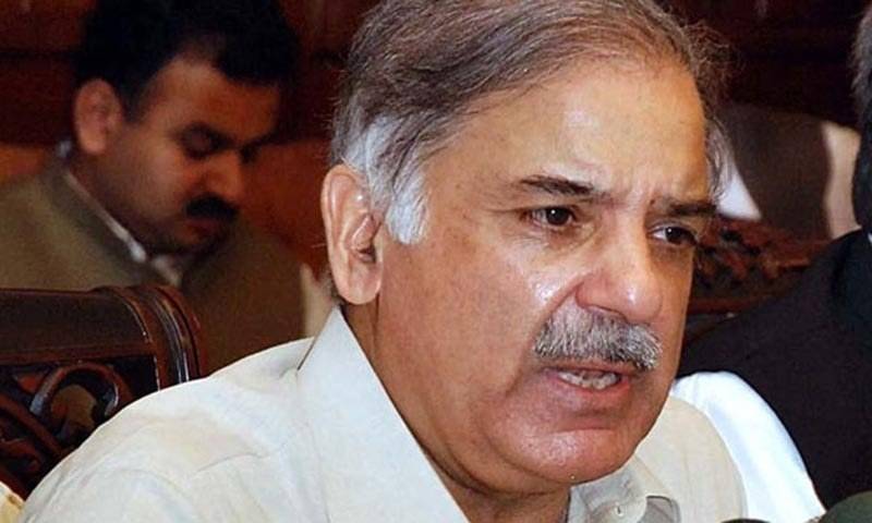 Foreign investors getting all out facilities from Punjab govt: CM Shahbaz