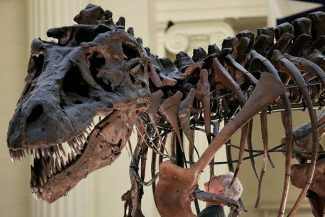 Scientists uproot dinosaur family tree