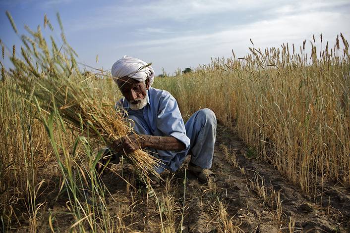 Poor Pakistani farmers battle with climate extremes
