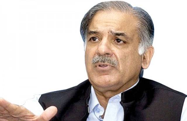 Rival political parties worried about fast completion of ongoing power projects: CM Shahbaz