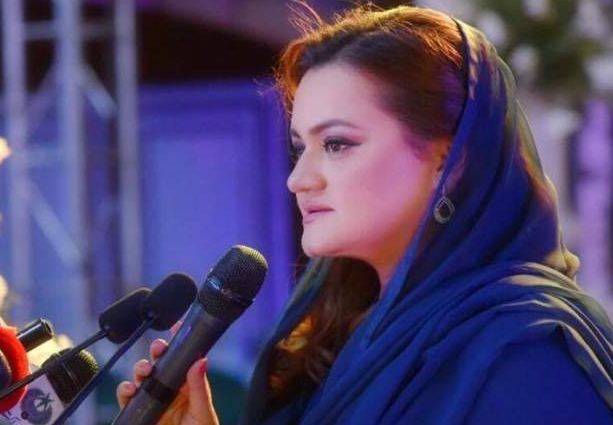 Computerisation of ABC to benefit all stakeholders: Marriyum