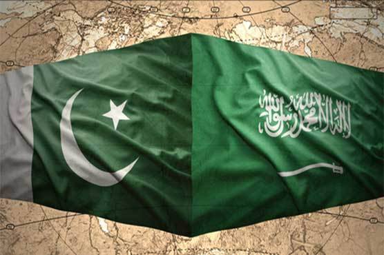 Pakistan values OIC’s role for promotion of Kashmir cause: envoy
