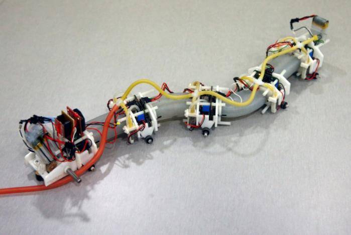 Snake on a plane! Don't panic, it's probably just a robot