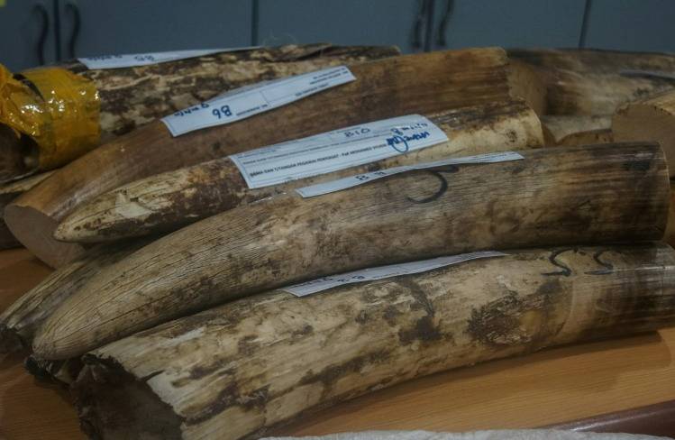 Malaysia grabs rare animal parts almost $1m of worth