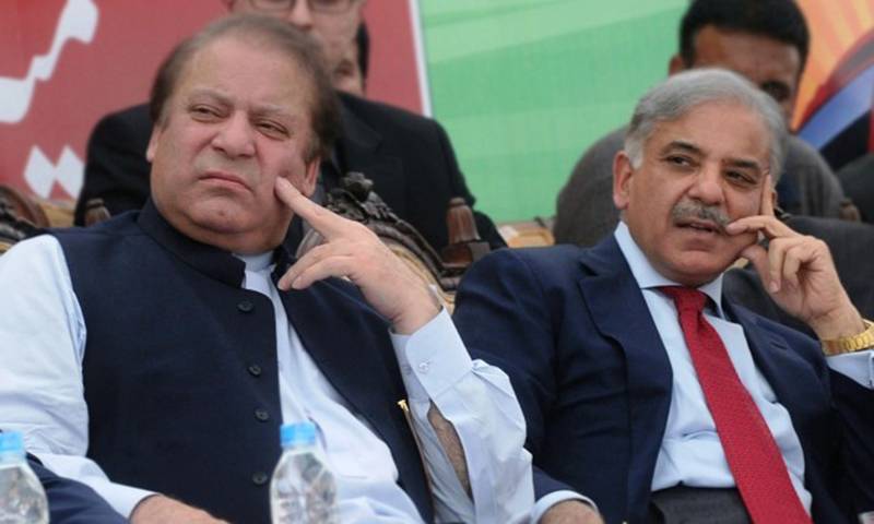 Shehbaz to become PML-N president from Sept 7