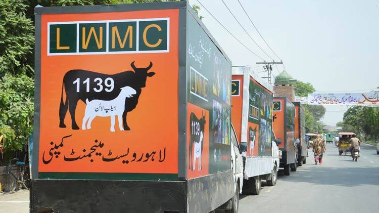 50,000 tonne of animal waste cleared from Lahore streets
