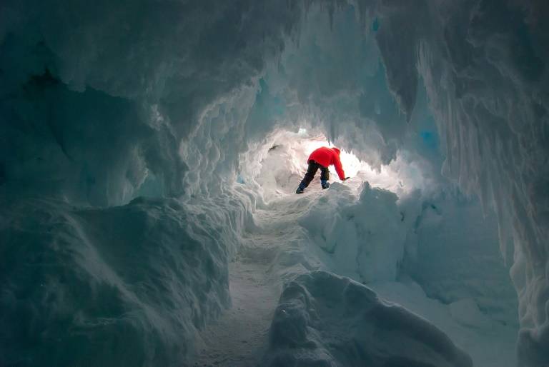 Warm Antarctic caves harbour secret life: scientists