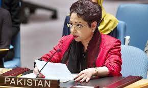  Additional Permanent seats in UNSC contrary to democracy, transparency: Maleeha