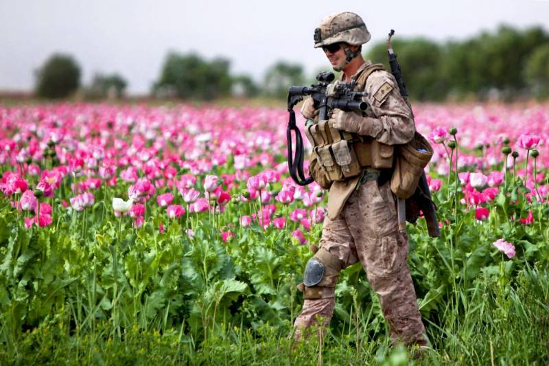 US conducts airstrikes on Afghanistan opium labs